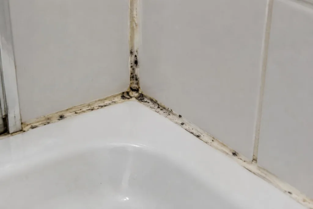 Kitbedrijf Landsmeer – beschimmelde kitranden